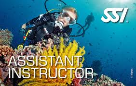 SSI - Assistant Instructor