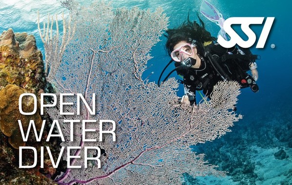 קורס צולל מים פתוחים - כוכב ראשון לילדים